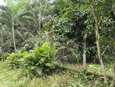 Terreno para Venda, em Perube, bairro Guara
